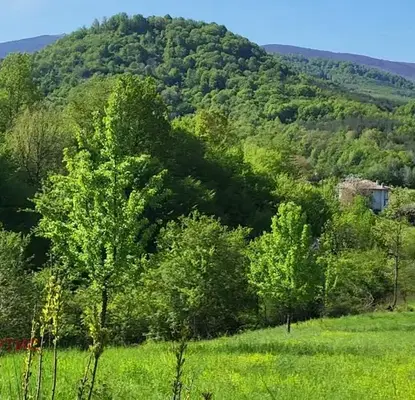 Снимка 4 — Парцел във Велико Търново, с. Мийковци