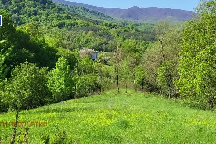 Plot in Oblast Veliko Tyrnovo, Miikovci