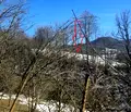 Снимка 4 — Парцел във Велико Търново, с. Мийковци