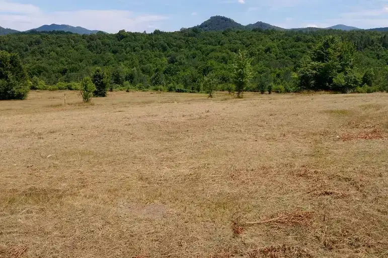 Plot in Oblast Veliko Tyrnovo, Miikovci