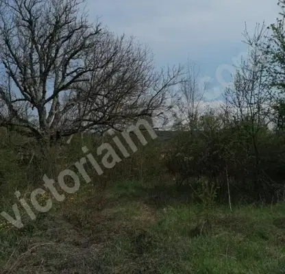Снимка 2 — Парцел във Велико Търново, с. Миндя