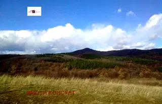 Парцел във Велико Търново, с. Момин сбор