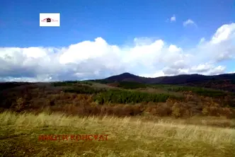 Парцел във Велико Търново, с. Момин сбор
