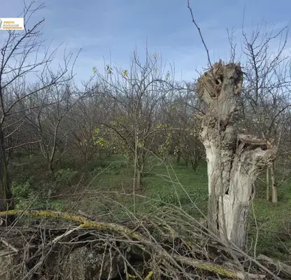 Photo 3 — Plot in Oblast Veliko Tyrnovo, Obedinenie