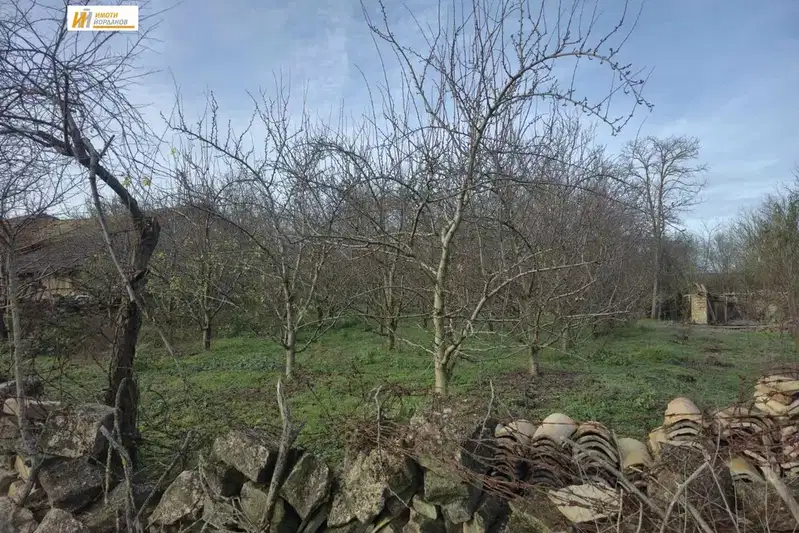 Plot in Oblast Veliko Tyrnovo, Obedinenie
