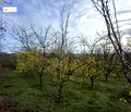 Снимка 3 — Парцел във Велико Търново, с. Обединение