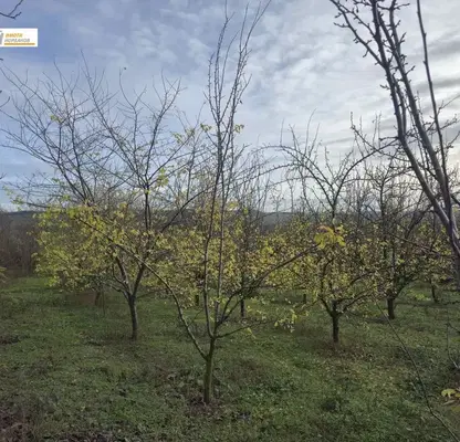Photo 3 — Plot in Oblast Veliko Tyrnovo, Obedinenie