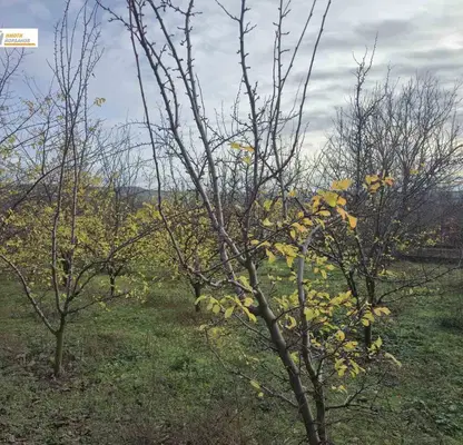Photo 5 — Plot in Oblast Veliko Tyrnovo, Obedinenie