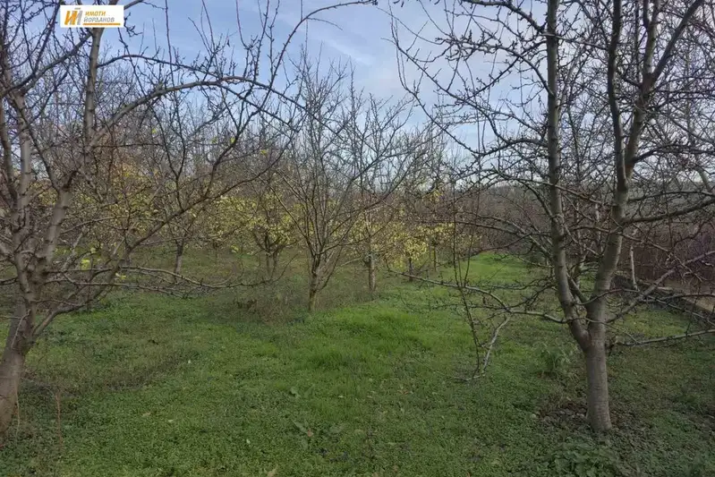 Plot in Oblast Veliko Tyrnovo, Obedinenie