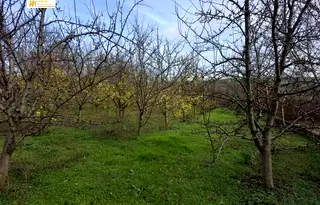 Парцел във Велико Търново, с. Обединение