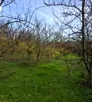 Парцел във Велико Търново, с. Обединение