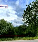 Парцел във Велико Търново, с. Пчелище