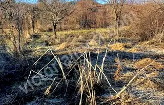 Парцел във Велико Търново, с. Пчелище