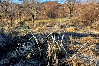 Парцел във Велико Търново, с. Пчелище