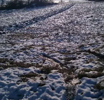 Photo 2 — Plot in Oblast Veliko Tyrnovo, Pchelishte