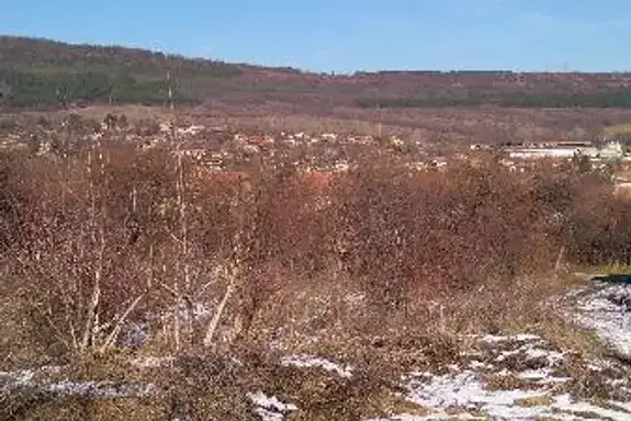Парцел във Велико Търново, с. Пчелище