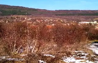 Парцел във Велико Търново, с. Пчелище