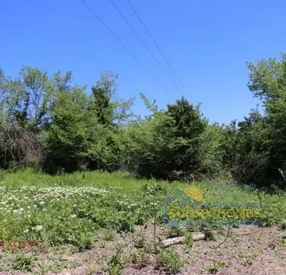 Photo 3 — Plot in Oblast Veliko Tyrnovo, Pchelishte