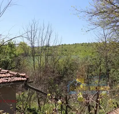 Photo 4 — Plot in Oblast Veliko Tyrnovo, Pchelishte