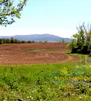 Парцел във Велико Търново, с. Пчелище