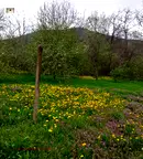 Парцел във Велико Търново, с. Писарево