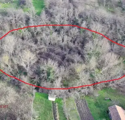 Photo 2 — Plot in Oblast Veliko Tyrnovo, Plakovo