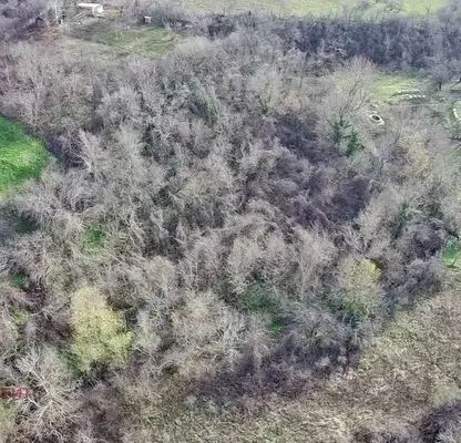 Photo 4 — Plot in Oblast Veliko Tyrnovo, Plakovo