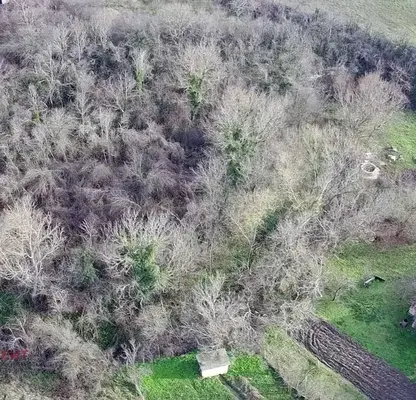 Photo 5 — Plot in Oblast Veliko Tyrnovo, Plakovo
