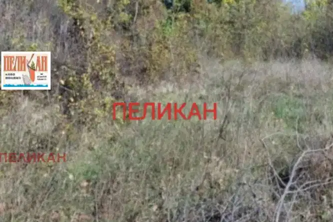 Plot in Oblast Veliko Tyrnovo, Polikraishte
