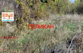 Парцел във Велико Търново, с. Поликраище