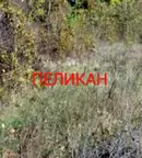 Парцел във Велико Търново, с. Поликраище