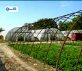 Снимка 3 — Парцел във Велико Търново, с. Поликраище