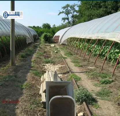 Photo 4 — Plot in Oblast Veliko Tyrnovo, Polikraishte