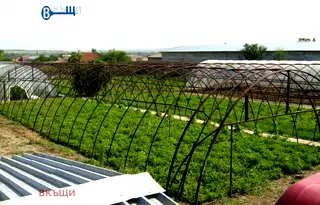 Парцел във Велико Търново, с. Поликраище