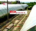 Снимка 2 — Парцел във Велико Търново, с. Поликраище