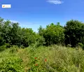 Снимка 2 — Парцел във Велико Търново, с. Поликраище