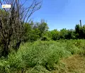 Снимка 3 — Парцел във Велико Търново, с. Поликраище