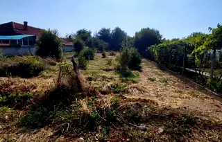 Парцел във Велико Търново, с. Правда