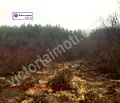 Снимка 2 — Парцел във Велико Търново, с. Присово