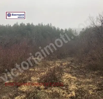 Снимка 2 — Парцел във Велико Търново, с. Присово