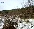 Снимка 5 — Парцел във Велико Търново, с. Присово