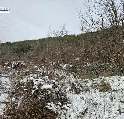 Снимка 5 — Парцел във Велико Търново, с. Присово