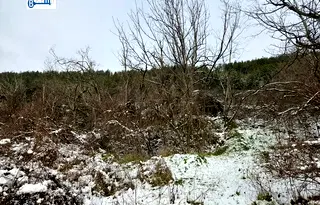 Парцел във Велико Търново, с. Присово