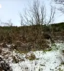 Парцел във Велико Търново, с. Присово