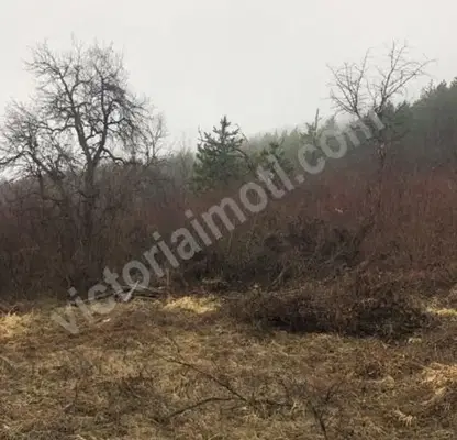 Снимка 3 — Парцел във Велико Търново, с. Присово