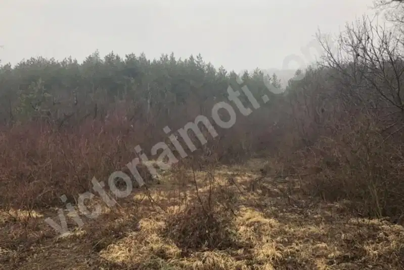Парцел във Велико Търново, с. Присово