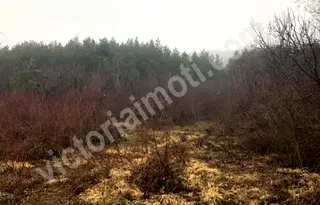 Парцел във Велико Търново, с. Присово