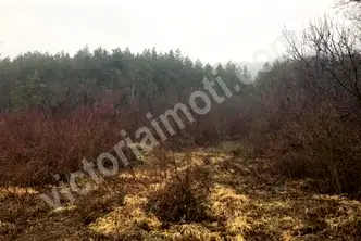 Парцел във Велико Търново, с. Присово