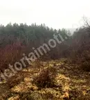 Парцел във Велико Търново, с. Присово