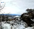 Снимка 3 — Парцел във Велико Търново, с. Присово